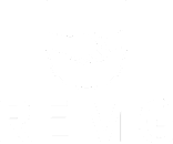 remg